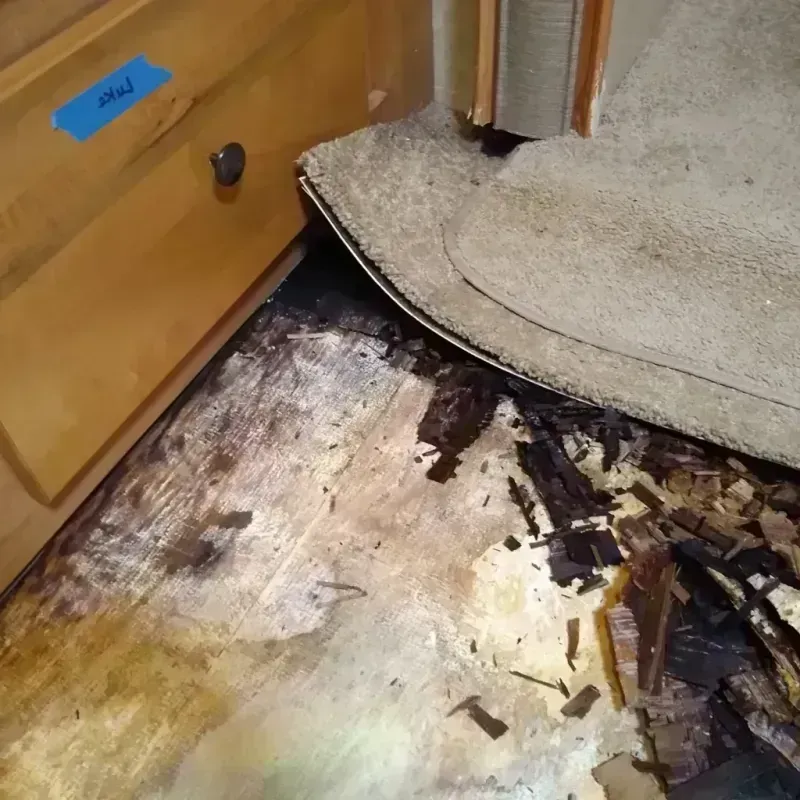 Wood Floor Water Damage in Anchorage, KY